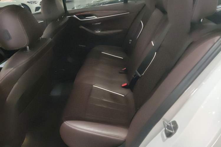 Used BMW 5 Series 2020 530Li Leading Edition Luxury Package
