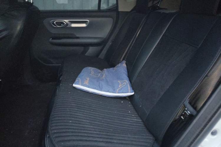 Used AION Y 2025 Plus 510 Enjoy Edition
