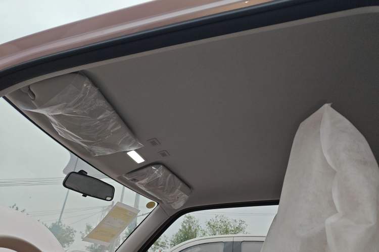 Used  Panda 2024 Panda Mini 200km Endurance Bear
