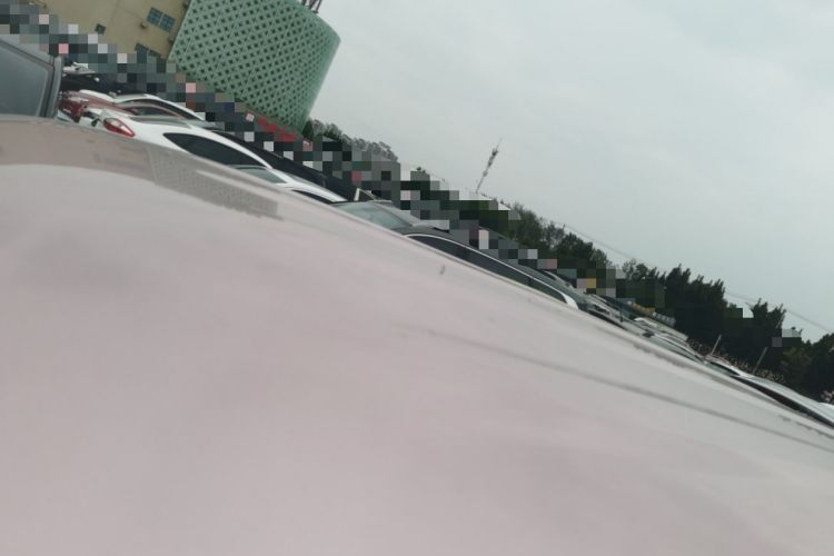 Used  Panda 2023 Panda Mini 200km Endurance Bear
