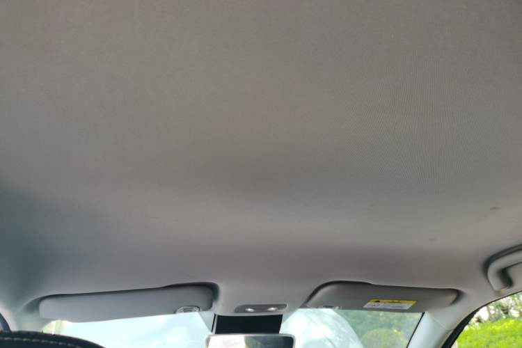 Used NETA V 2021 Long-Range Entertainment Edition Upgrade Model
