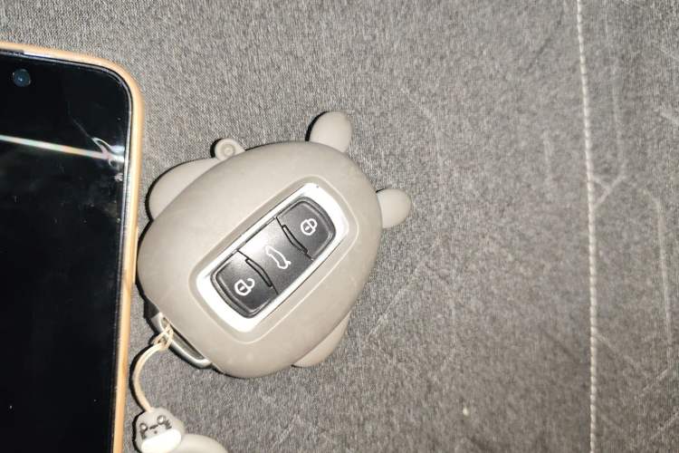 Used  Panda 2024 Panda Mini 200km Endurance Bear
