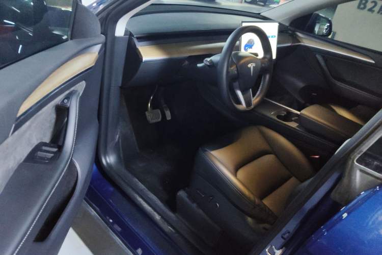 Used Tesla Model Y 2021 Standard Range Rear-Wheel Drive Version
