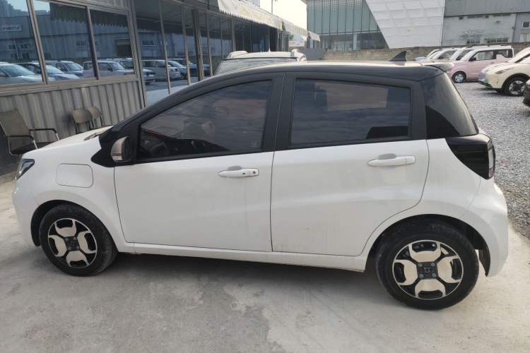 Used SOL E10X 2022 Flower Fairy Style Baby's Breath
