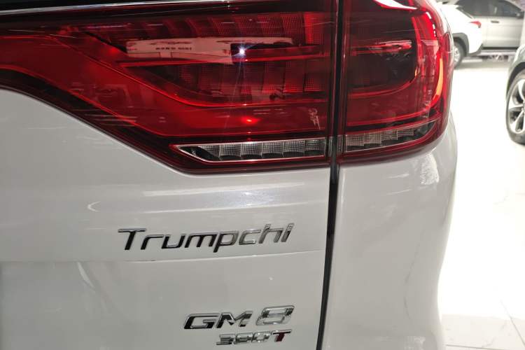 Used GAC Trumpchi M8 2020 Master Edition 390T Supreme Version

