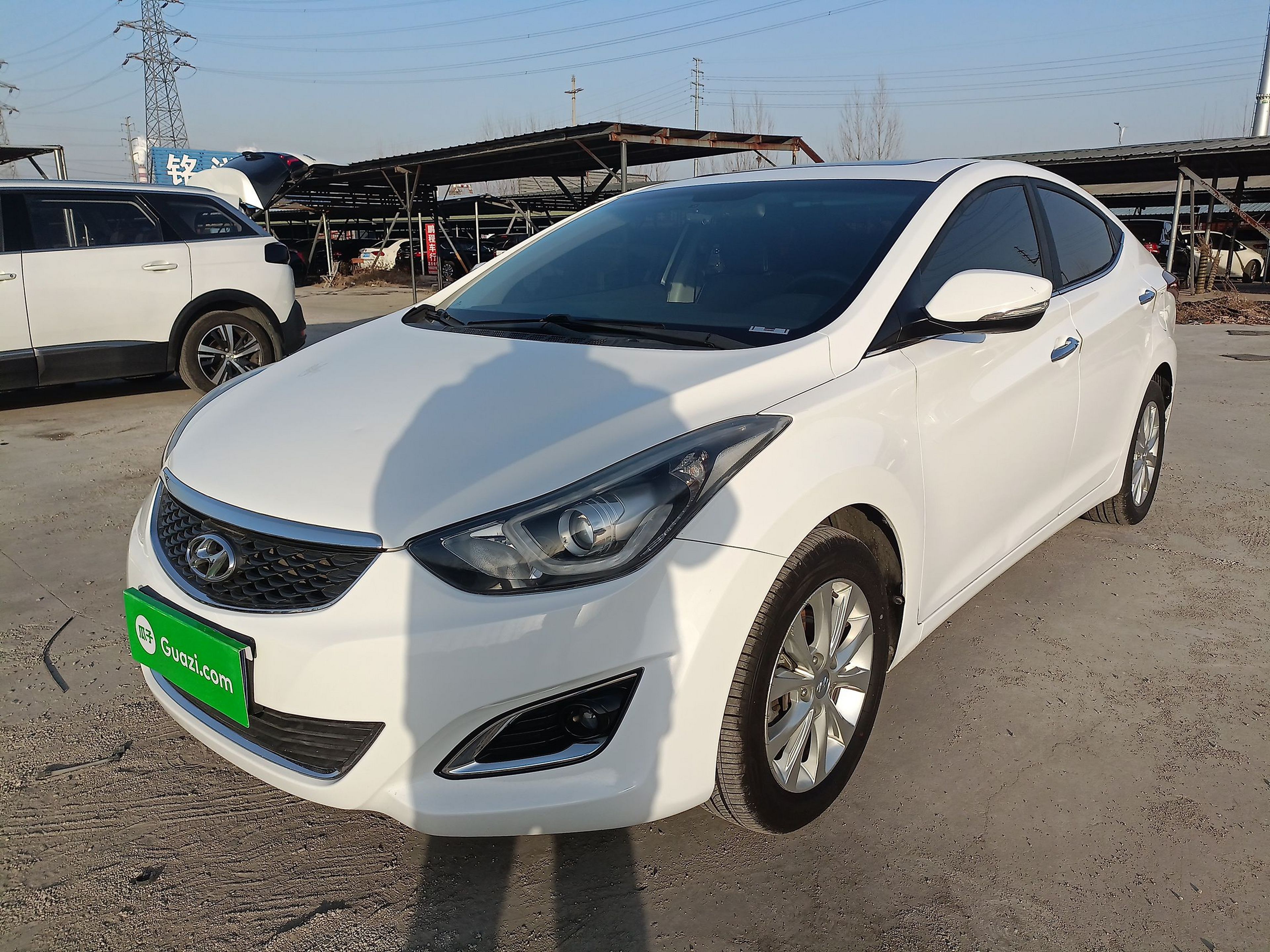 تحت مقدمة السيارة