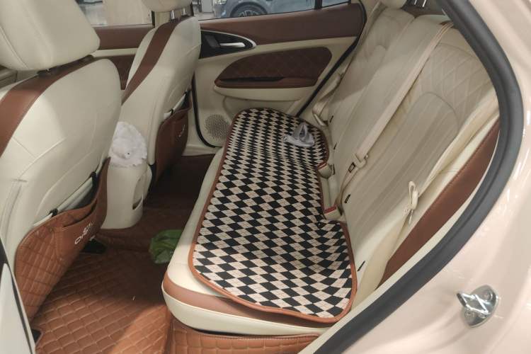 Used ORA Good Cat 2023 401 km Standard Range Luxury Version Ternary Lithium
