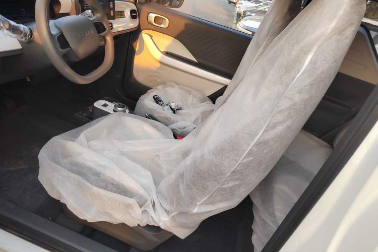 Used  Panda 2025 210km Panda Kart
