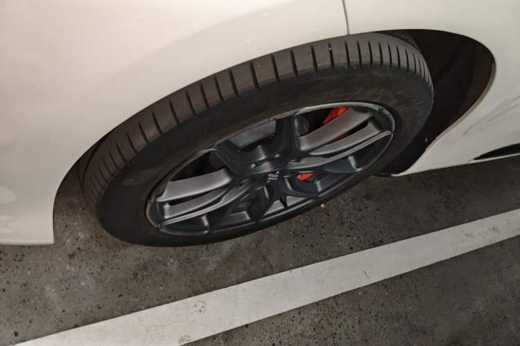 Used  LS6 2023 Max Standard Edition
