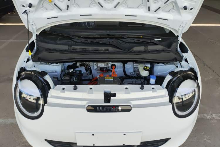 Used  Lumin 2025 205 km Xiangqin Version
