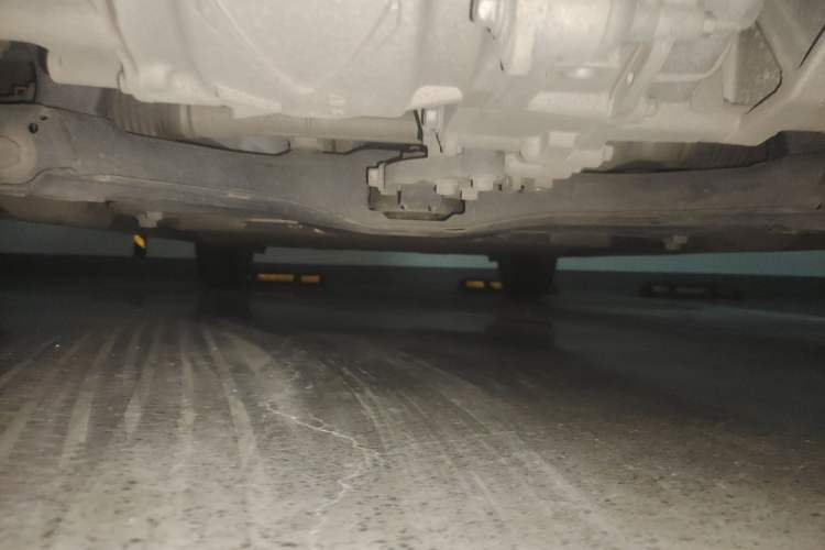 Used ORA Black Cat 2021 351 km Standard Version
