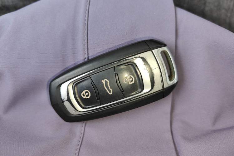 Used  Panda 2024 200km Panda Rider