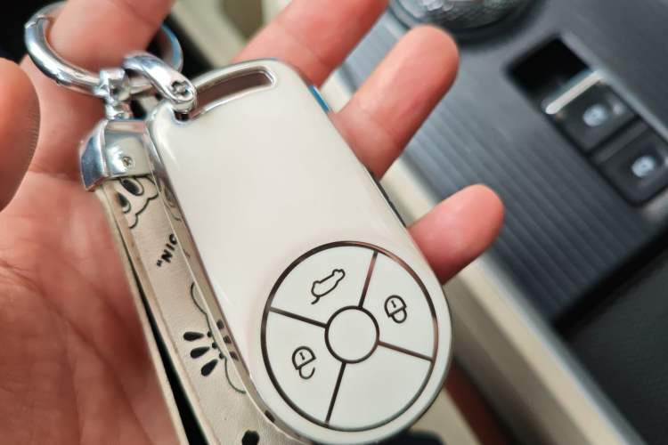 Used ORA Good Cat 2022 400km Standard Range Premium Version Lithium-Ion Battery
