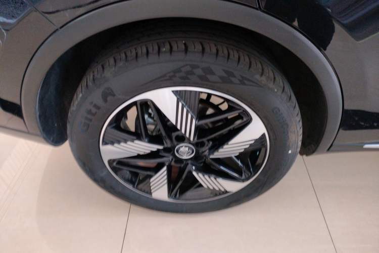 Used BYD Tang New Energy 2023 DM-i Champion Edition 112KM Prestige Model
