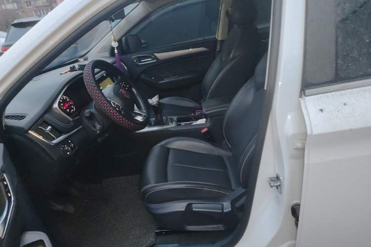 Used Roewe RX5 2018 20T Two-Wheel Drive Manual Flagship Edition