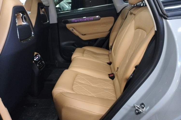 Used Leapmotor C11 2024 Range-Extended 300 Luxury Edition
