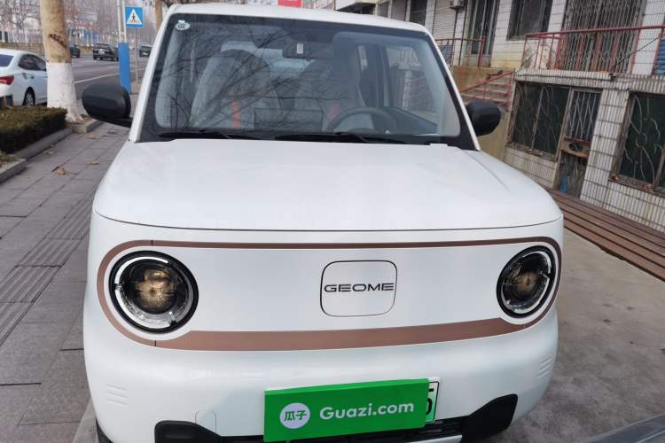 Used  Panda 2024 Panda Mini 200km Endurance Bear
