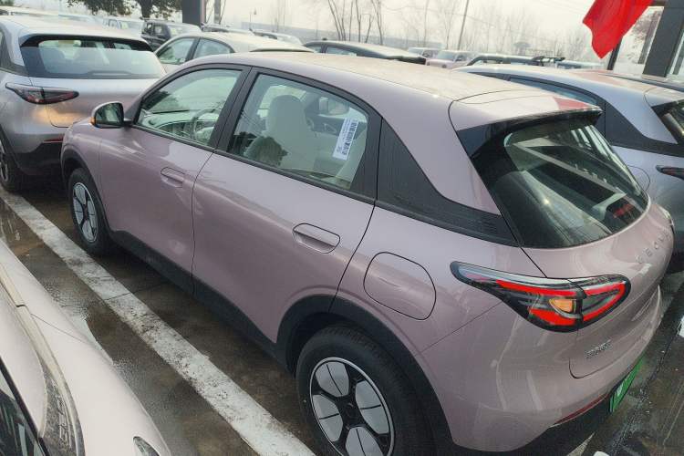 Used  Geome 2026 Model 310km Youth Edition
