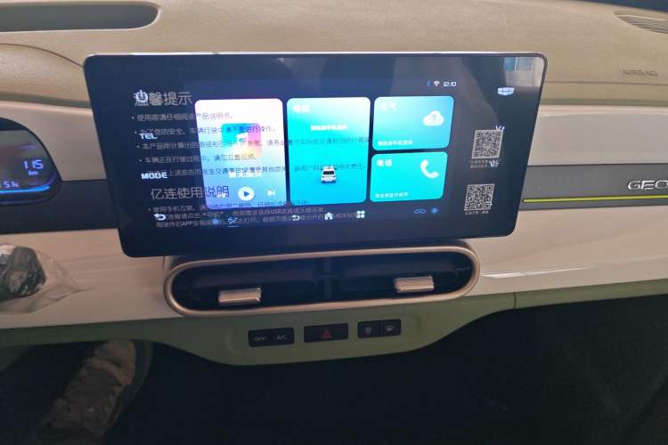 Used  Panda 2025 210 km – Yuanqi Bear