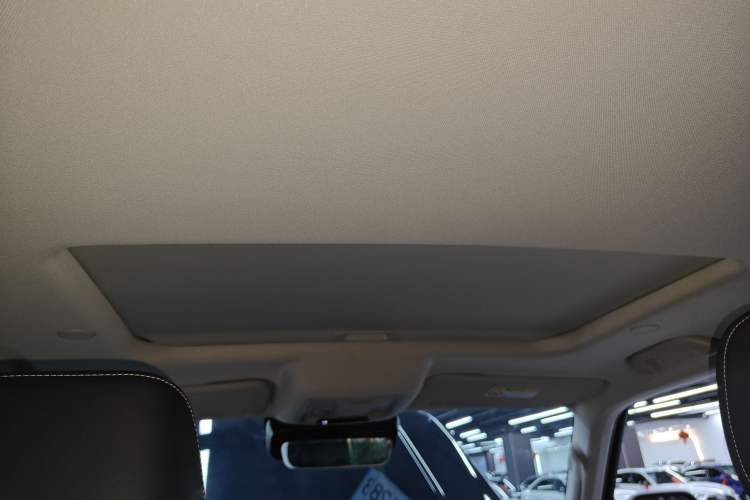 Used Tank 300 2024 2.0T Crosser