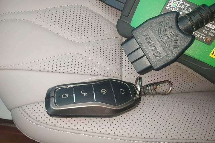 Used BYD Tang New Energy 2024 DM-i Glory Edition 112KM Prestige Model
