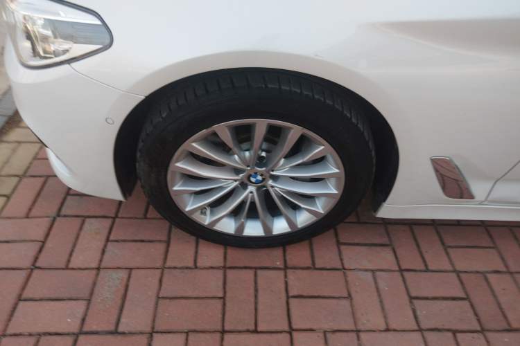 Used BMW 5 Series 2020 530Li Luxury Edition Premium Package