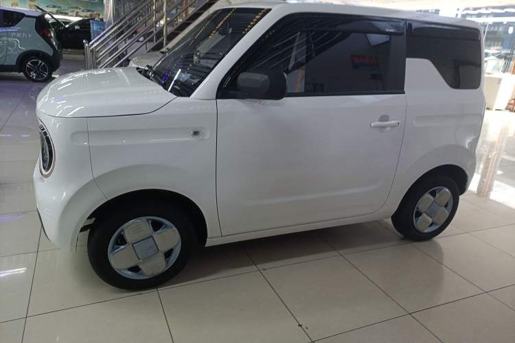 Used  Panda 2023 Panda Mini 200km Endurance Bear