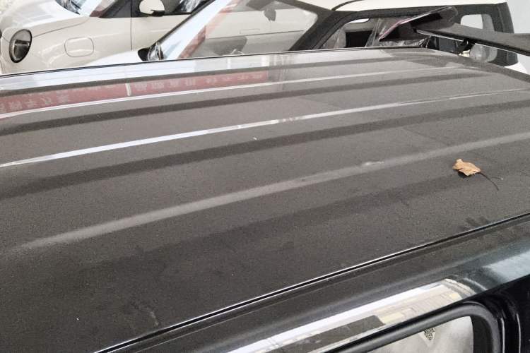 Used  Panda 2025 210km Panda Kart
