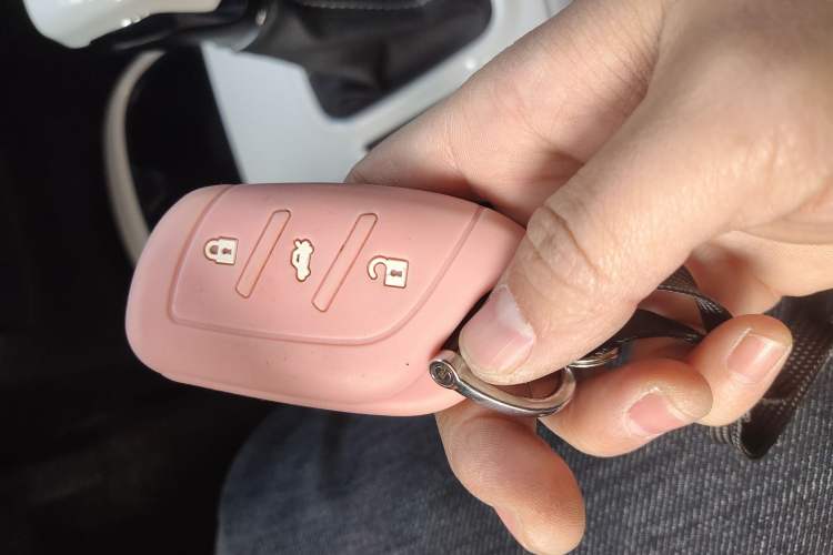 Used Roewe Clever 2022 311km QiQi BoBo Edition
