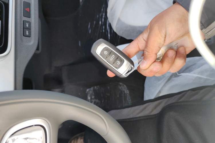 Used  Panda 2025 210 km – Yuanqi Bear
