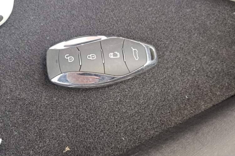 Used Hongqi HQ9 PHEV 2024 2.0T Four-Wheel Drive Luxury Edition