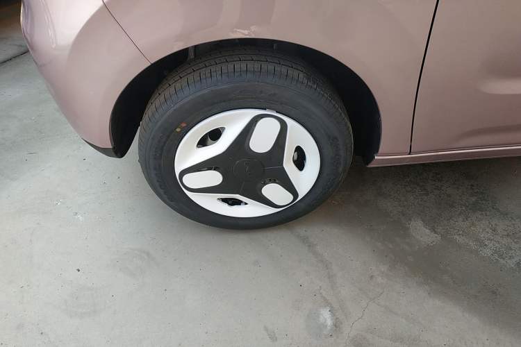 Used  Panda 2025 210 km – Yuanqi Bear
