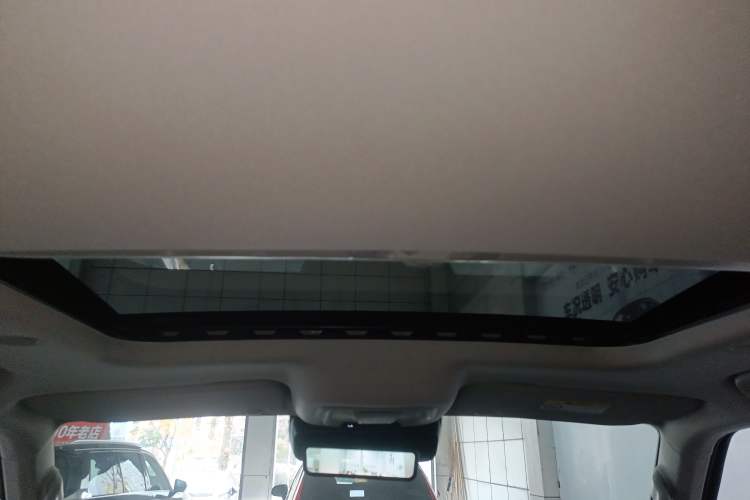 Used Tank 300 2024 2.0T Crosser
