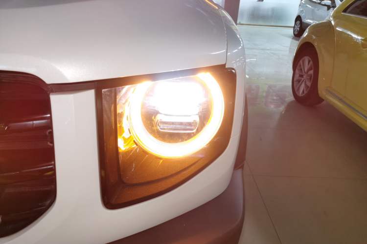 Used Haval DARGO 2021 2.0T DCT 4x4 Chinese Rural Dog Edition