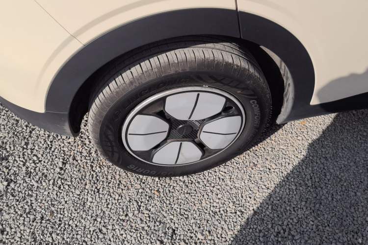 Used  Geome 2025 310km Youth Edition
