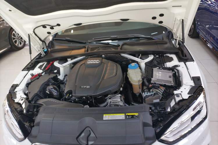 Used Audi A5 2017 Coupe 40 TFSI Fashion Model
