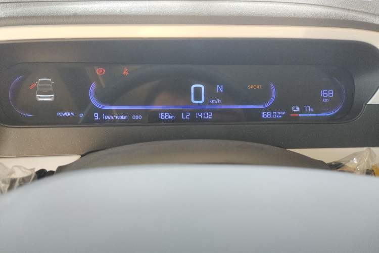 Used  Panda 2025 210 km – Yuanqi Bear