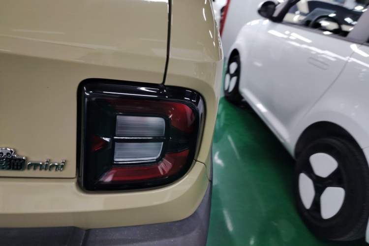 Used  Panda 2024 200km Panda Rider