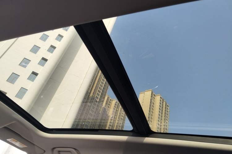 Used Haval DARGO 2024 2.0T DCT Chinese Rural Dog Edition
