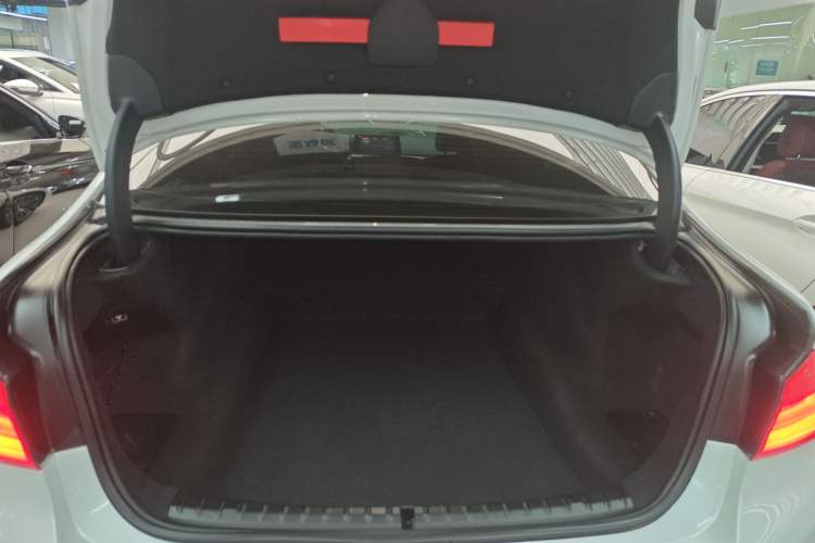 Used BMW 5 Series 2018 530Li Leading Model M Sport Package