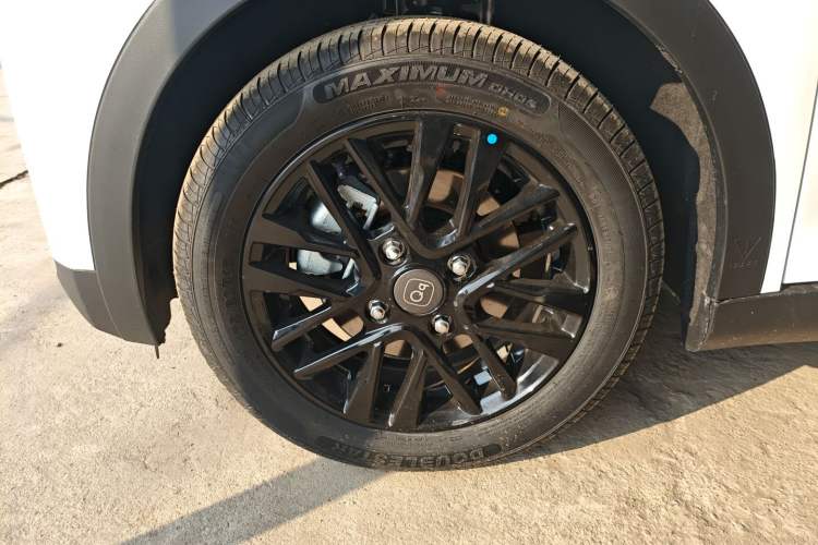 Used Chery Little Ant 2024 Facelifted 321km Beloved Edition
