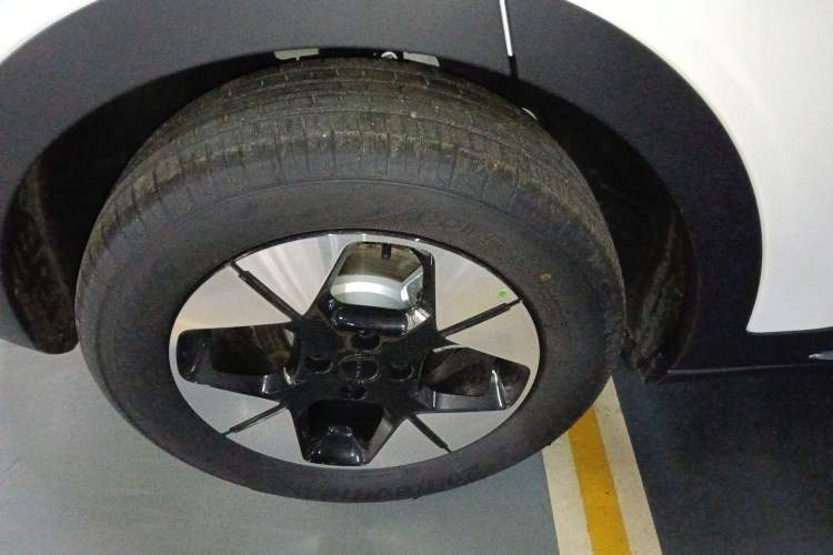 Used  Geome 2025 310km Dream Edition