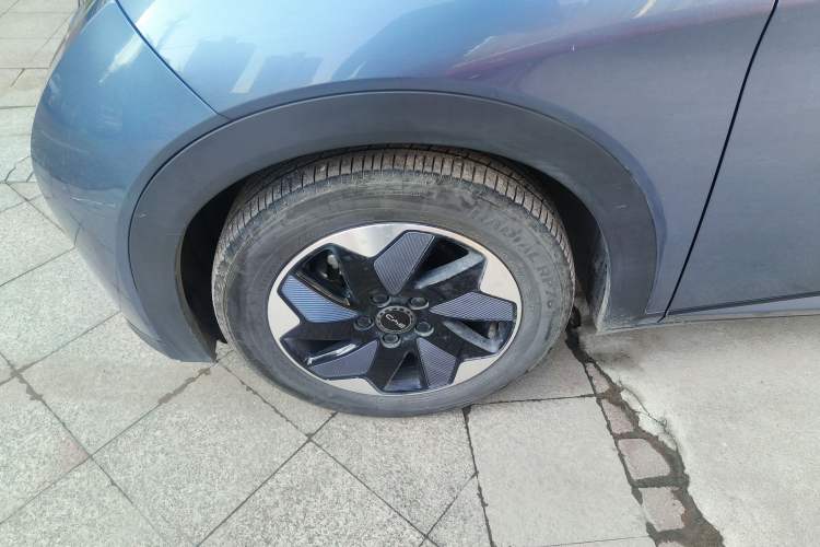 Used BYD Dolphin 2024 Honor Edition 420km Freedom Version