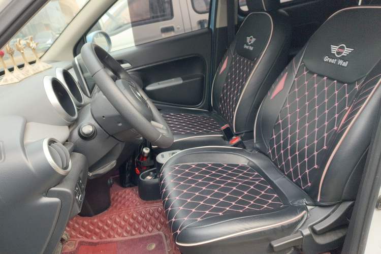 Used ORA Black Cat 2021 351 km Luxury Version
