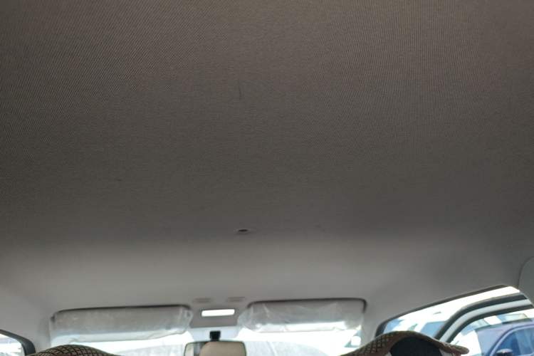 Used  Panda 2024 Panda Mini 200km Endurance Bear
