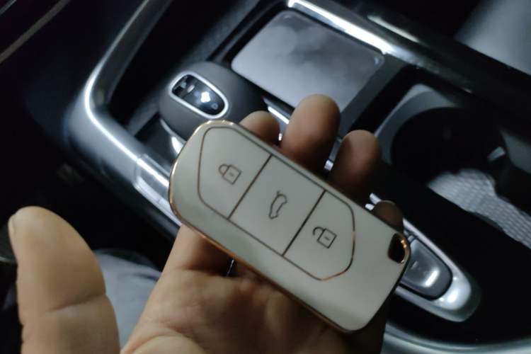 Used VOYAH FREE 2021 Four-Wheel Drive Standard Range-Extended Exclusive Luxury Package
