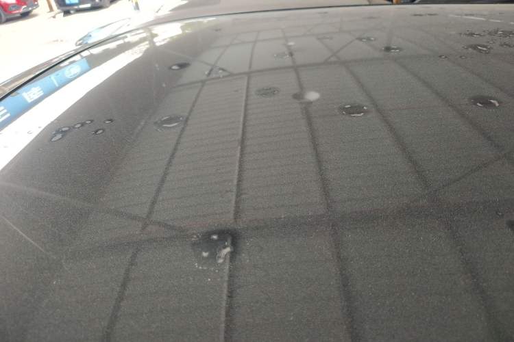 Used Land Rover Range Rover Evoque 2020 249 PS R-DYNAMIC SE Sport Technology Edition
