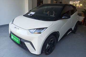 Used BYD Seagull 2024 Honor Edition 305km Freedom Version