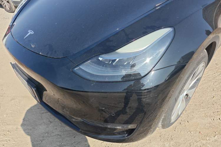 Used Tesla Model Y 2021 Standard Range Rear-Wheel Drive Version