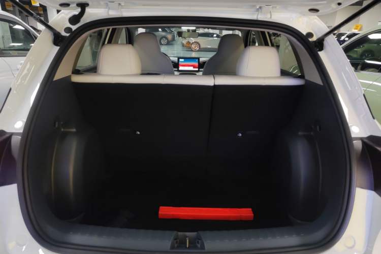 Used  Geome 2025 310km Youth Edition